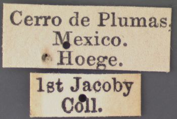 Media type: image; Entomology 9275   Aspect: labels 2